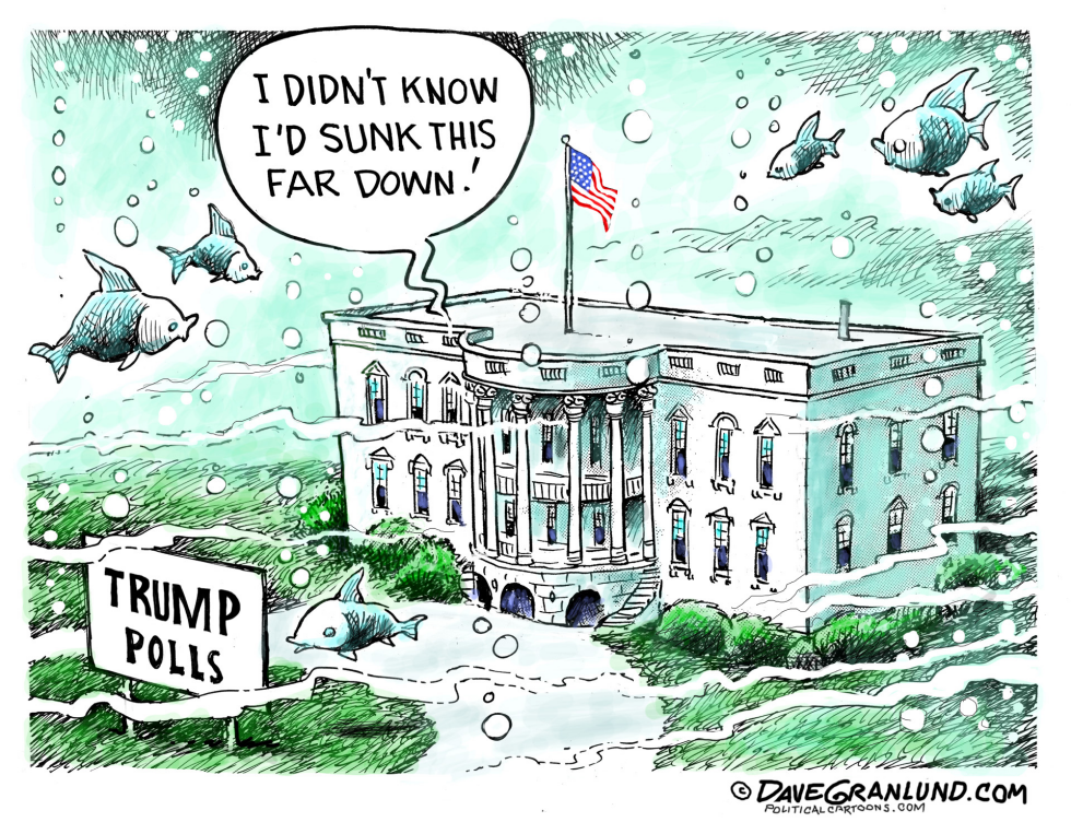 Trump sinks in polls COLOR