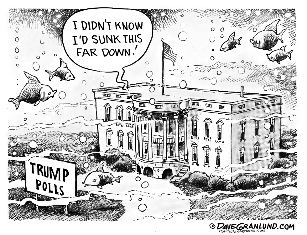 Trump sinks in polls