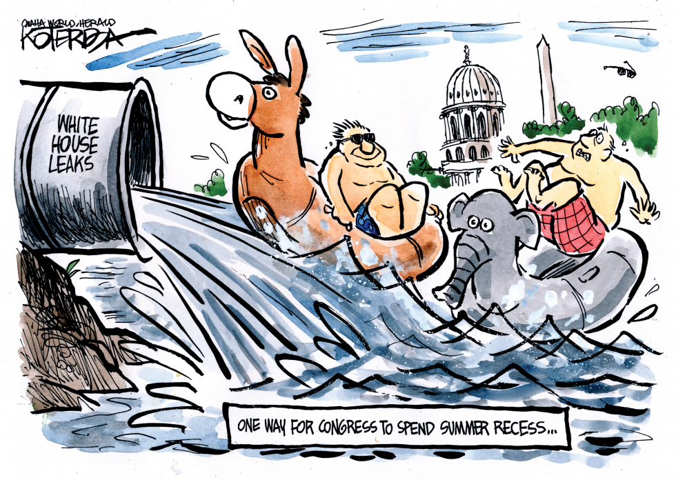 Swamp or Water Park