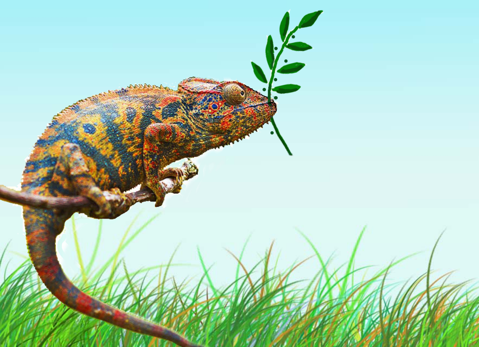 PEACE CHAMELEON
