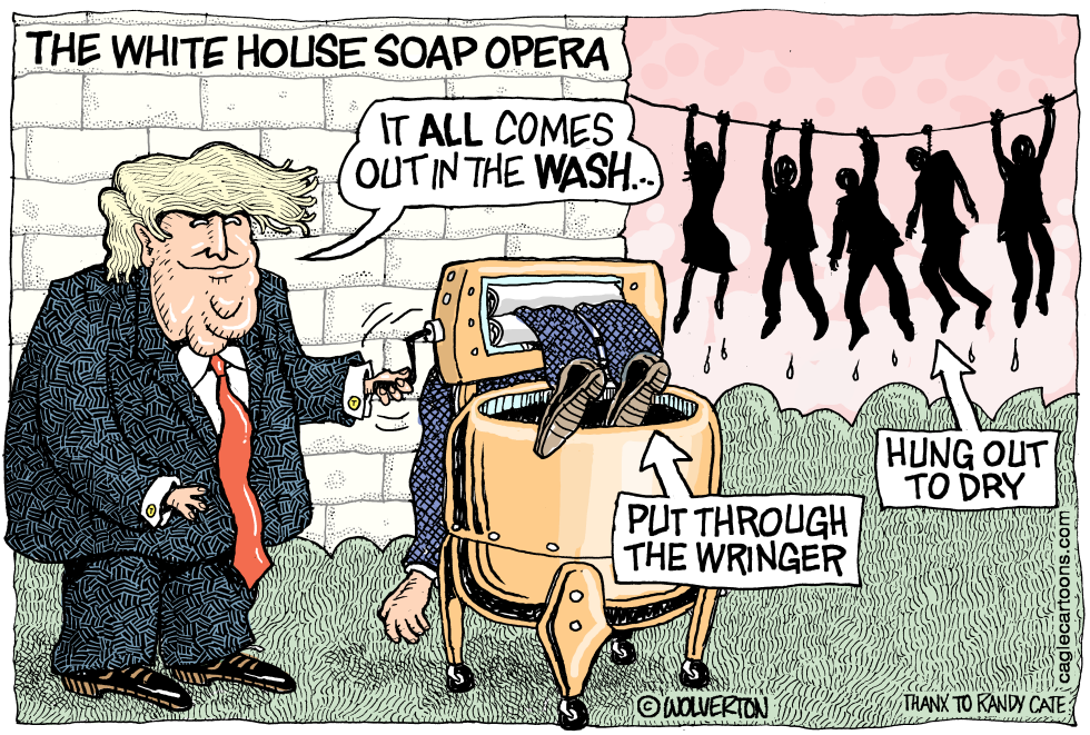  WHITE HOUSE SOAP OPERA by Wolverton