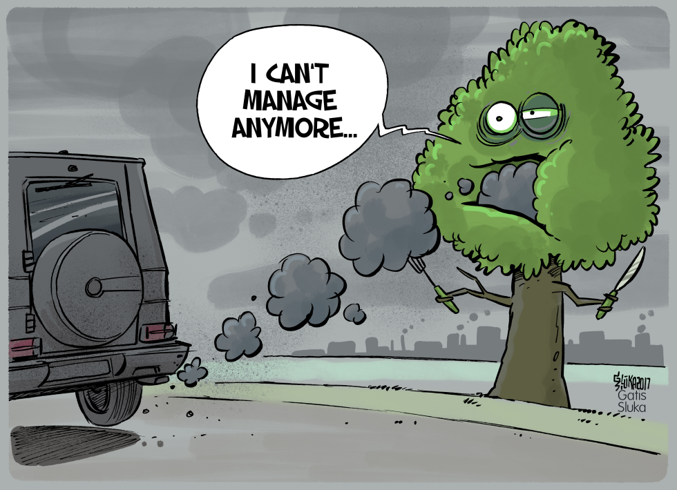 Smoke and tree