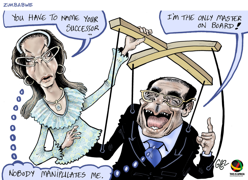 Mugabe Successor