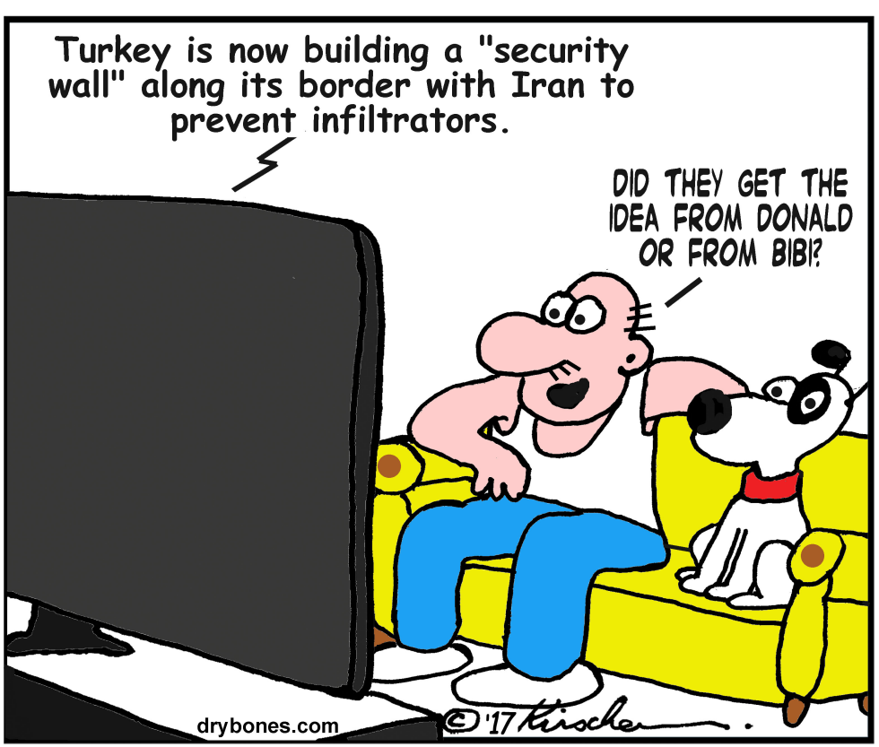 Turkey's Wall