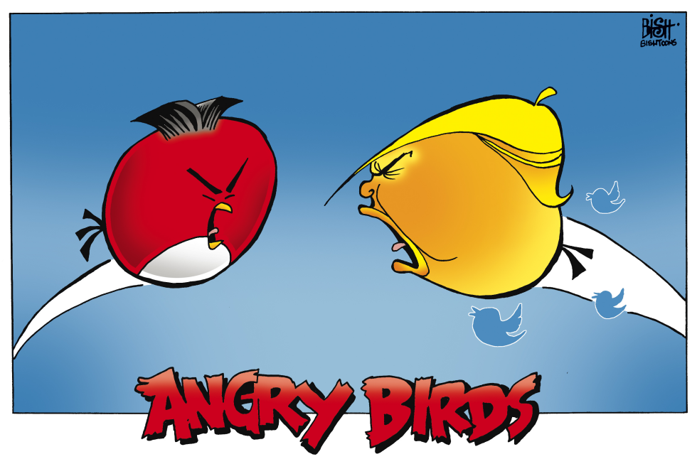 ANGRY BIRDS WITH NUKES, COLOR