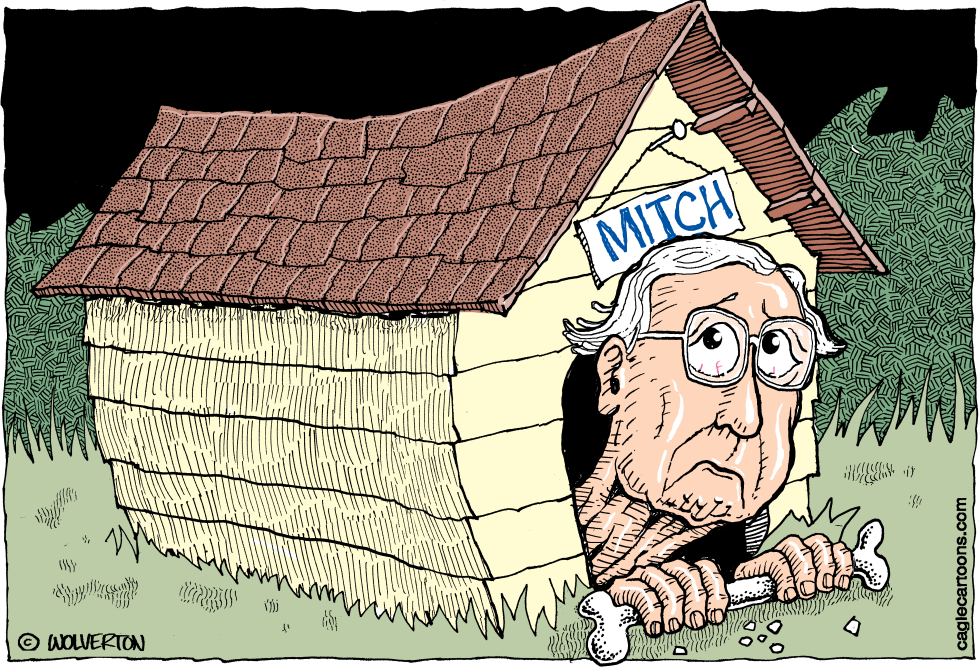 McConnell in Doghouse