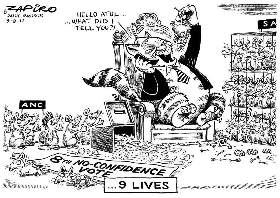 9 Lives