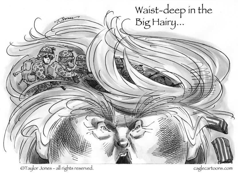 Commander in Chief