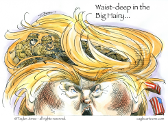 COMMANDER IN CHIEF -  by Taylor Jones