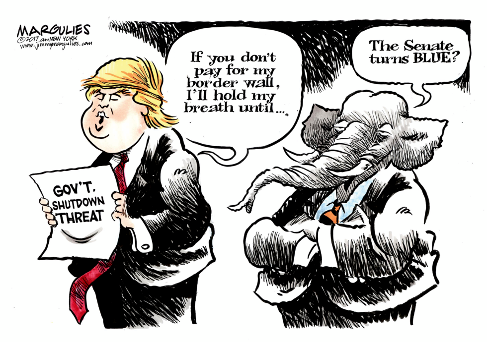 Trump border wall