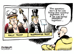 TRUMP MULTIPLE IDENTITY  by Jimmy Margulies