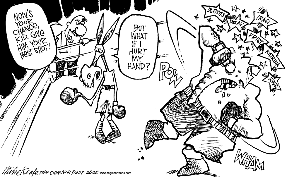 The Dems Best Shot