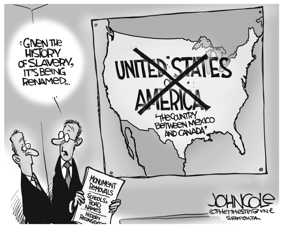  RENAMED USA by John Cole