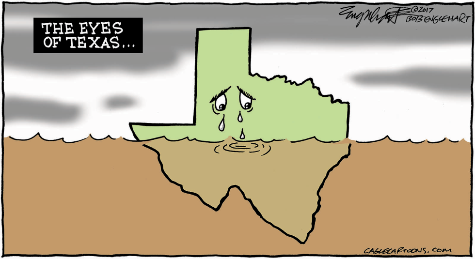 Houston Flood