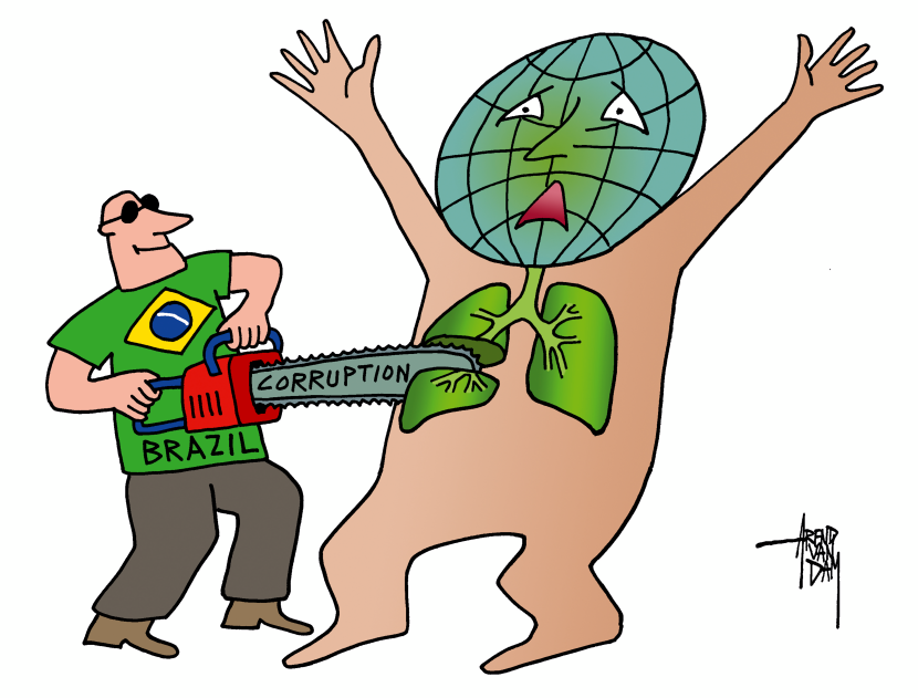 Brazil damaging rainforest