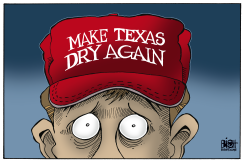 TEXAS FLOODS, by Randy Bish