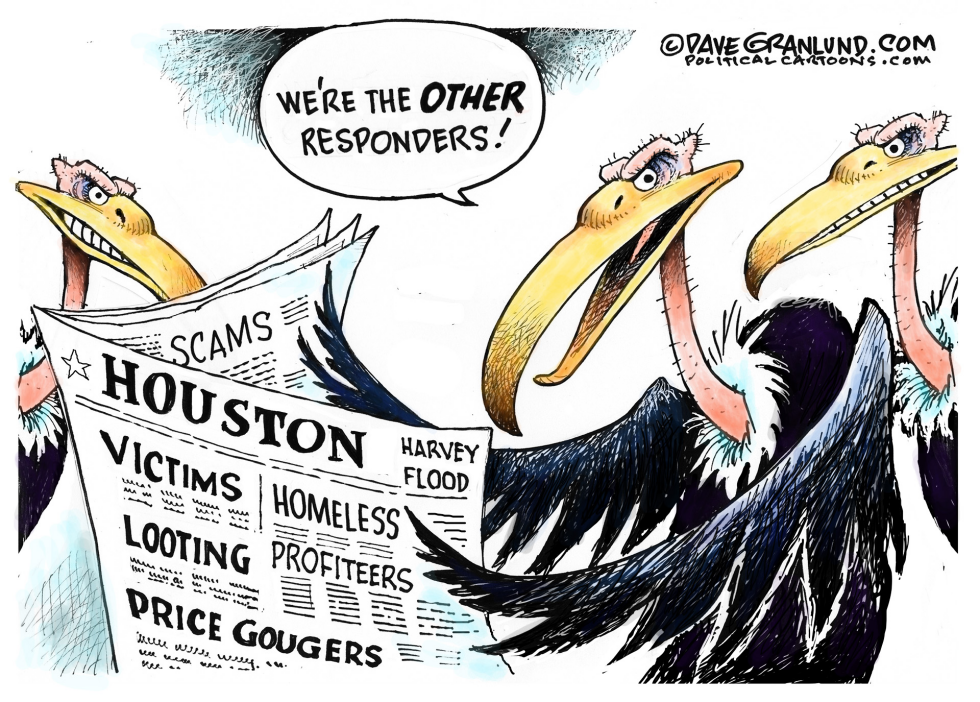 Houston flood vultures COLOR