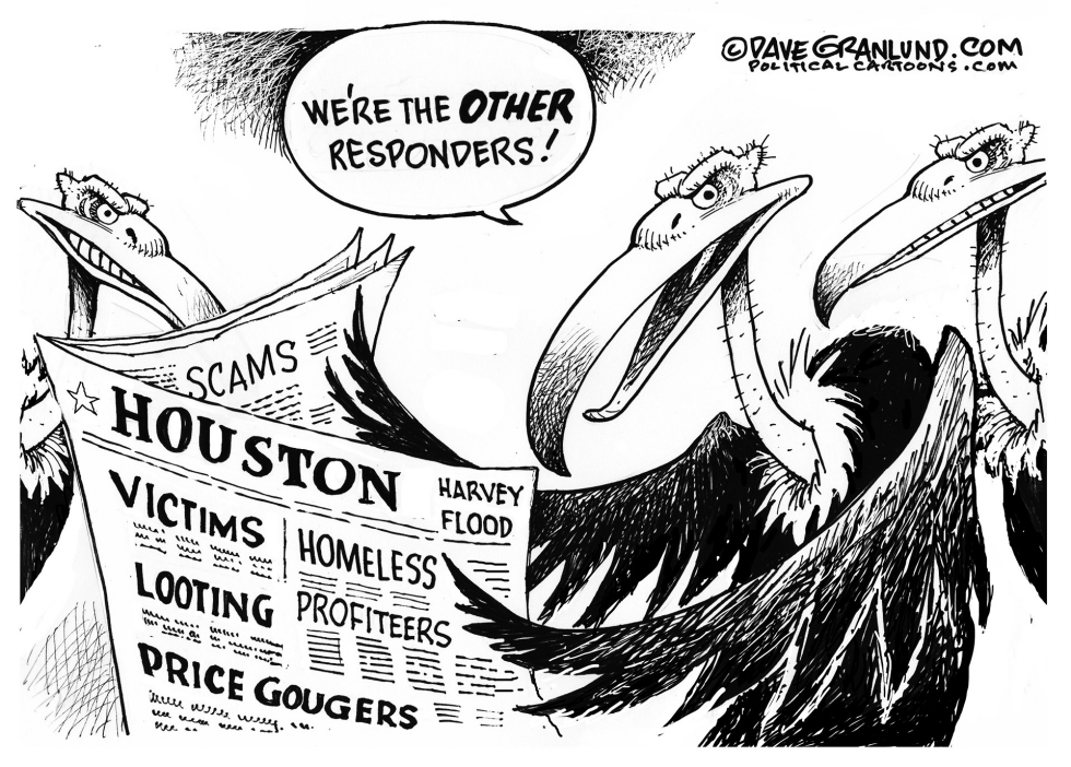 Houston flood vultures