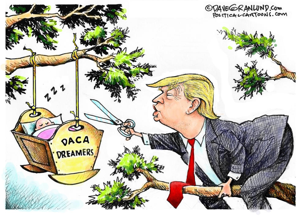  DACA DREAMERS AND TRUMP by Dave Granlund