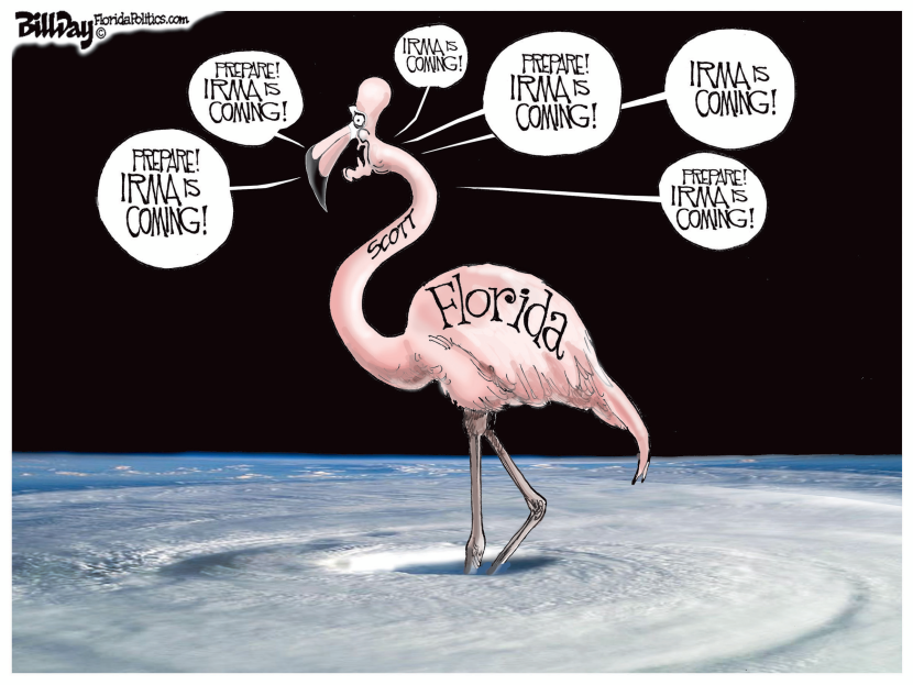 FLORIDA FLAMINGO