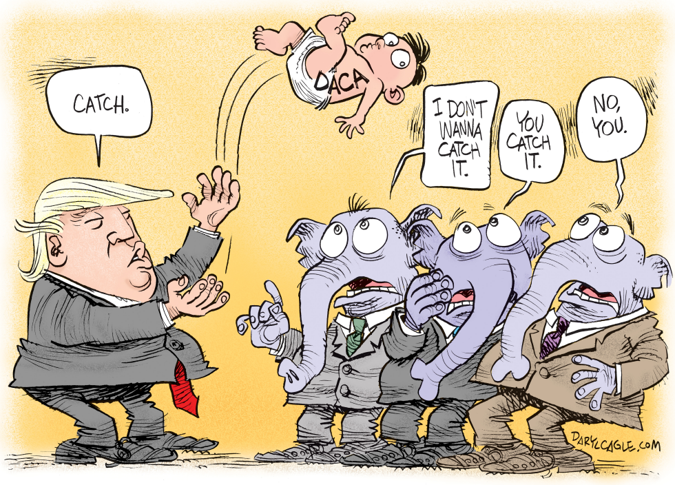 Trump DACA and Congress