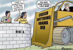 DREAMERS AND TRUMP by Steve Greenberg