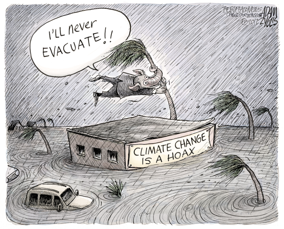  HURRICANE IRMA by Adam Zyglis