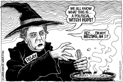 DELAY WITCH HUNT by Monte Wolverton