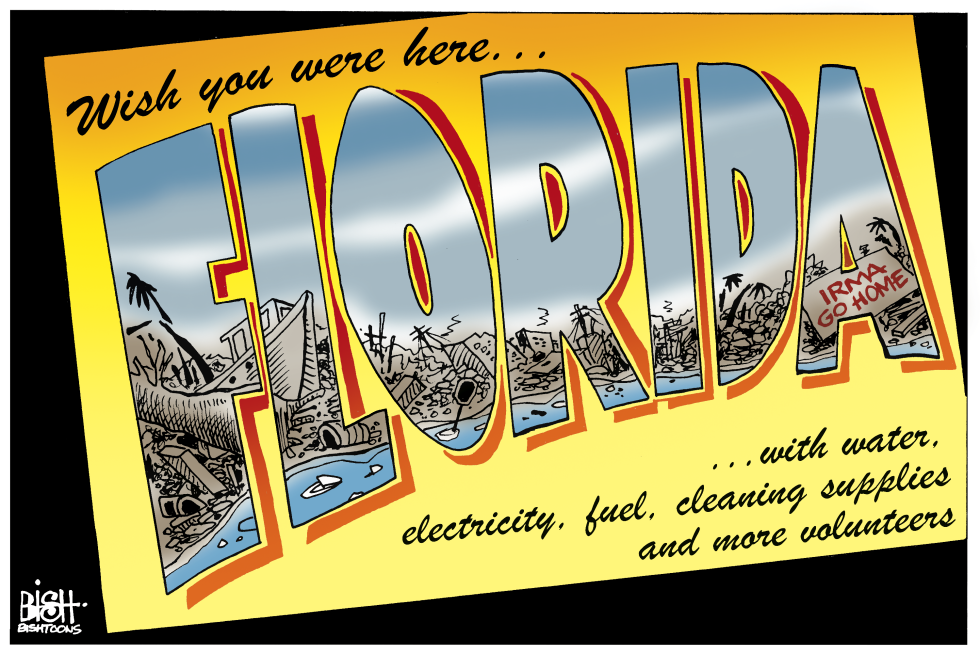 FLORIDA HURRICANE CLEAN UP, COLOR