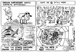 SHAUN ABRAHAMS by Zapiro