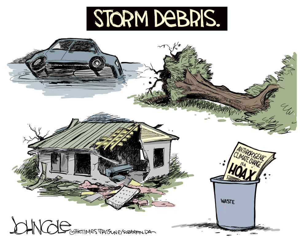 Storm debris