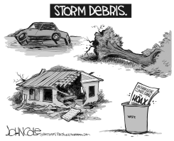 STORM DEBRIS BW by John Cole