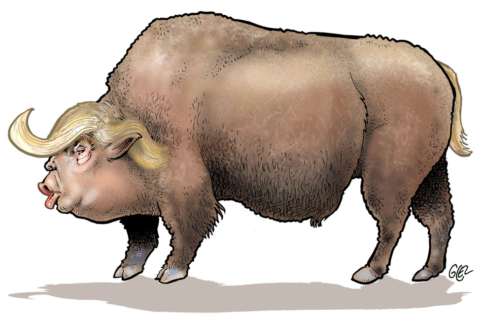 Trump Bison