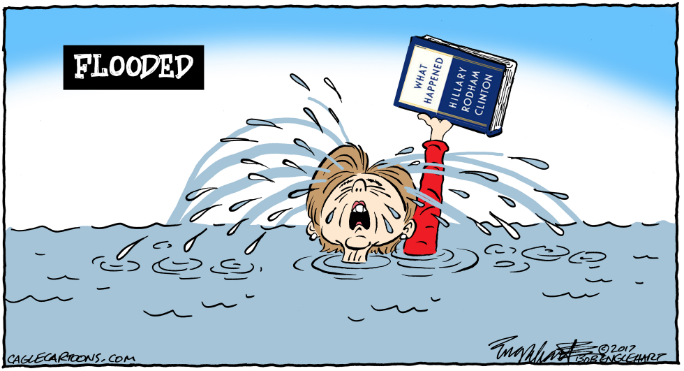 Hillary's Book