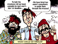 CONSULTANTS by Steve Nease