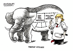 TRUMP DEALS WITH DEMOCRATS by Jimmy Margulies