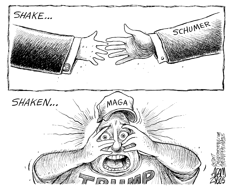 Schumer Deal