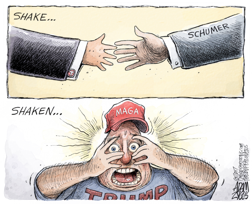 Schemer Deal COLOR