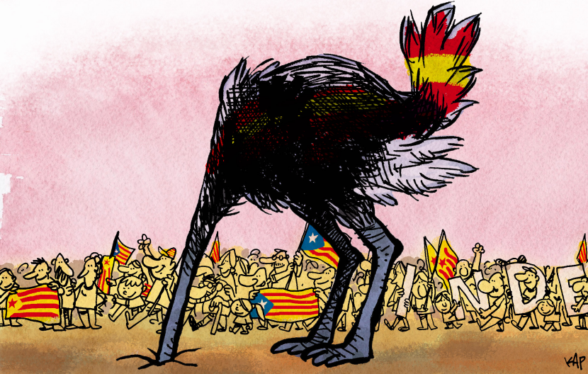 Spanish ostrich hides his head