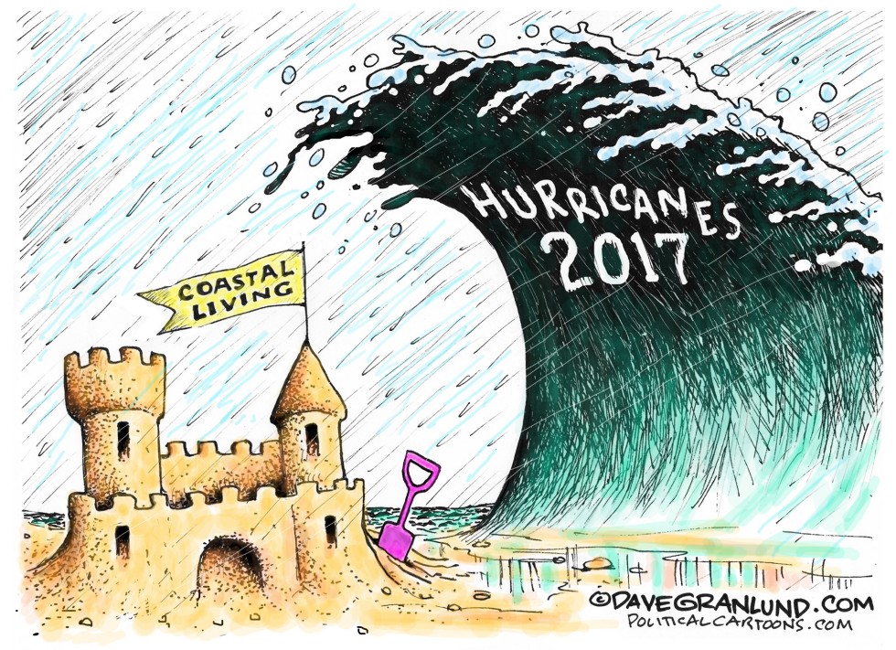  HURRICANES 2017 by Dave Granlund