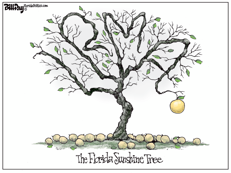  SUNSHINE TREE by Bill Day