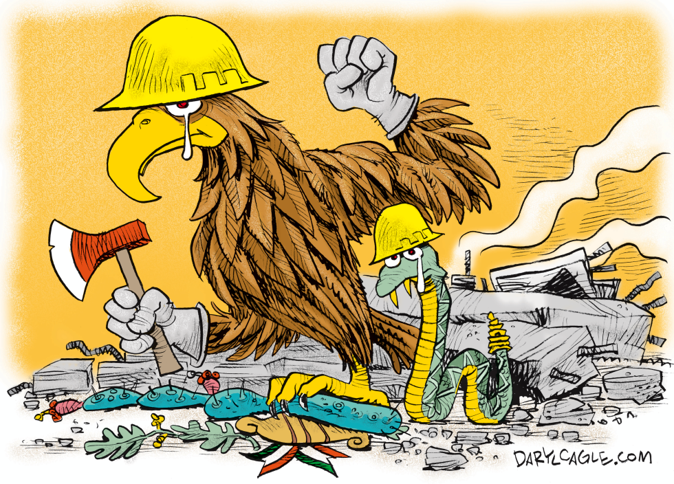Mexican Earthquake