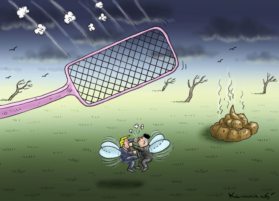 Fighting Flies