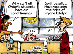 HOT SCHOOLS by Steve Nease