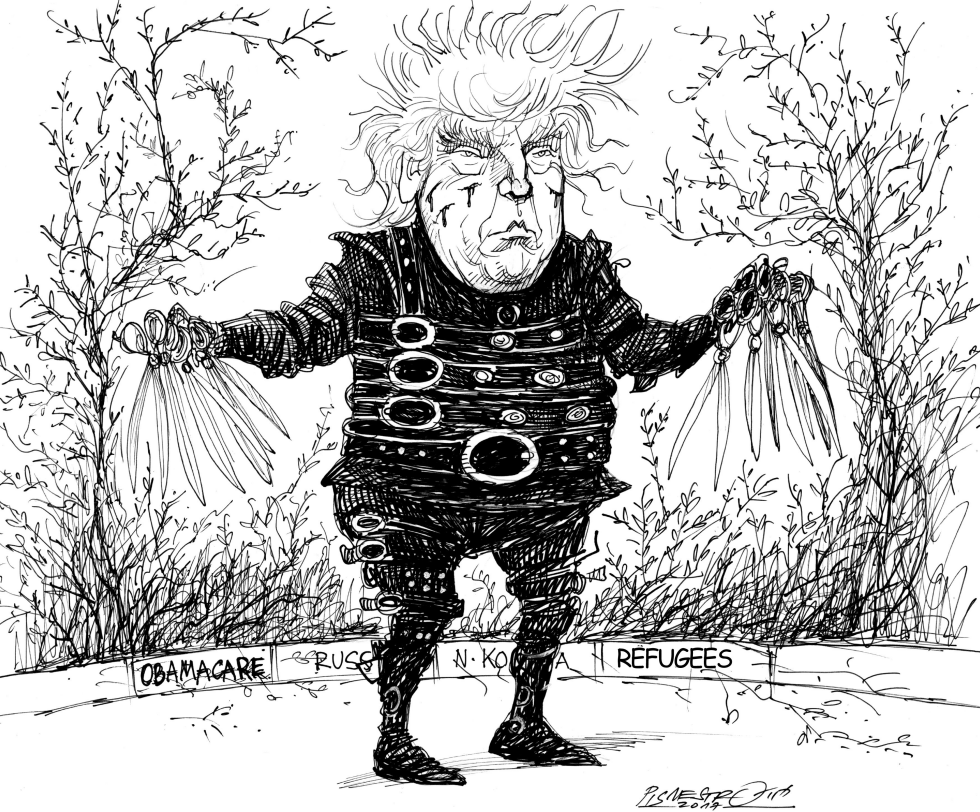 Donald Scissorhands