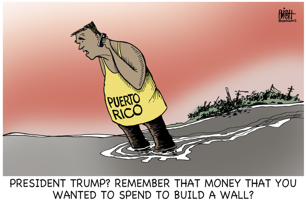 TO REBUILD PUERTO RICO, COLOR