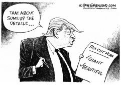 TRUMP AND TAX PLAN DETAILS by Dave Granlund