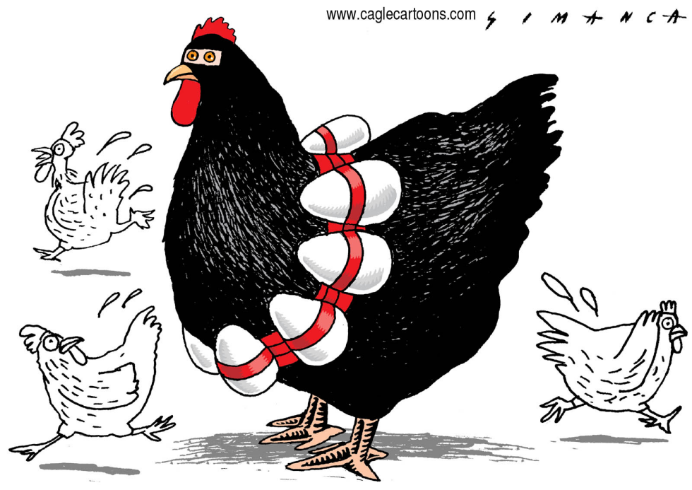 Gallina Bomba