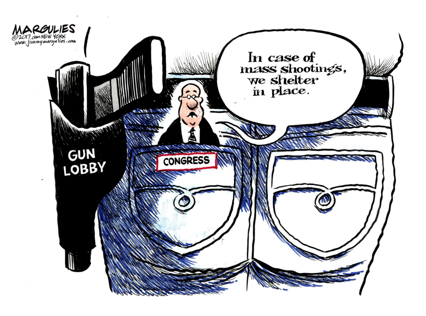 Congress and Gun Lobby color