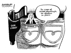 CONGRESS AND GUN LOBBY by Jimmy Margulies
